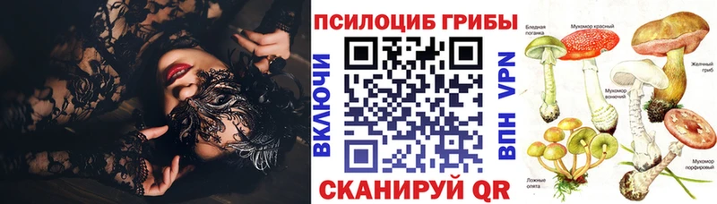 Купить где  Семёнов  Галлюциногенные грибы мицелий 